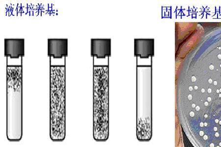 斜面培养基的优点