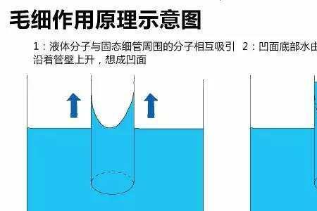 内聚力和附着力怎么知道谁大