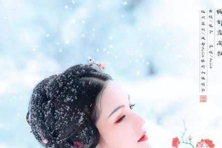 红梅白雪知歌词的含义