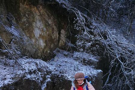 踏雪是什么意思