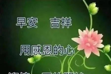 红颜知己很久没见问候语