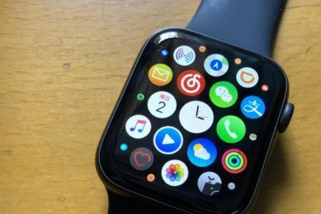 applewatch只显示时间和电的标志