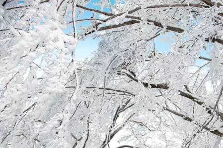 飞雪结冰的意思