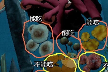 森林游戏布料怎么获得