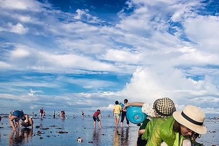 雷州哪里可以赶海