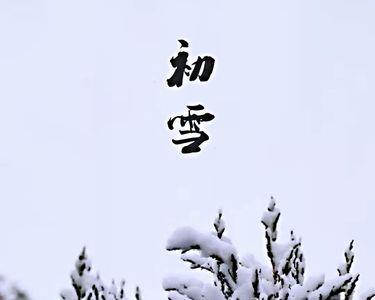 满山雪飞满天歌词