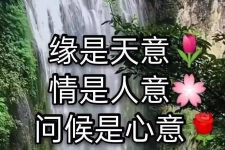 人生有缘风雨不散什么意思