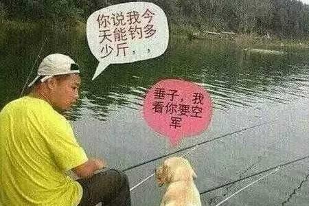 去钓鱼是什么短语