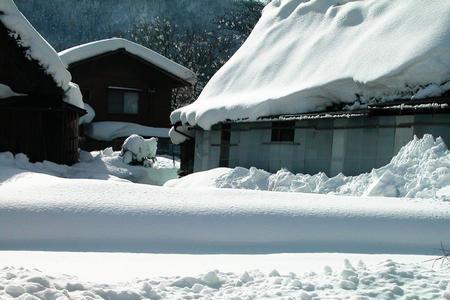 春庭雪是哪首诗写的