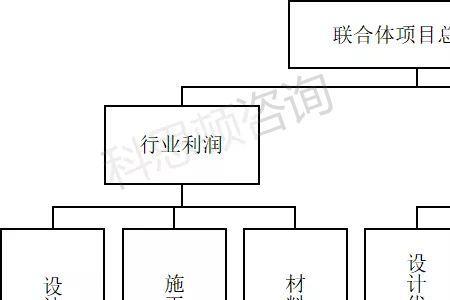 联合体的项目费用怎么分