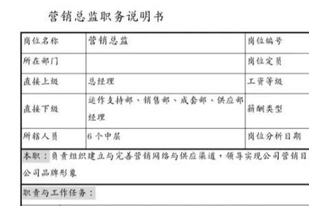 总监可以委托总监代表哪些事项