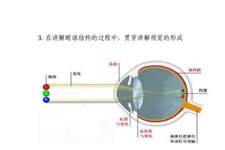 眼语的构成要素