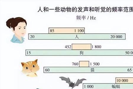 男低音音域范围