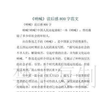 呐喊的启示20字