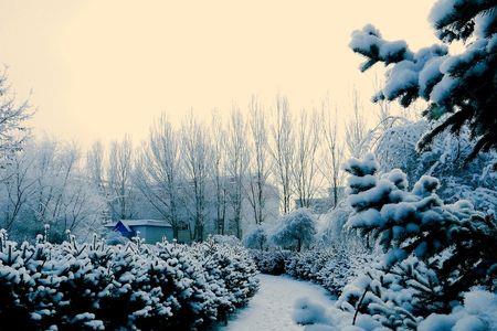 冬雪的特点