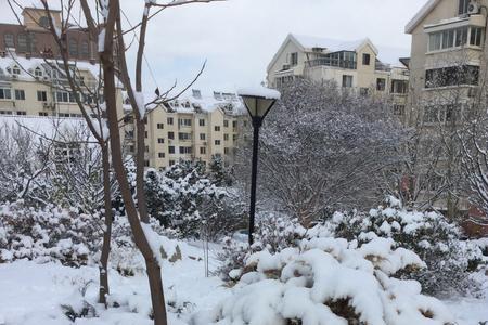 雪花从天空中飘落下来扩句