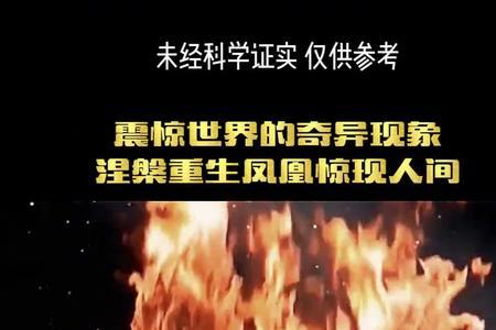 凤凰陨落人间什么意思