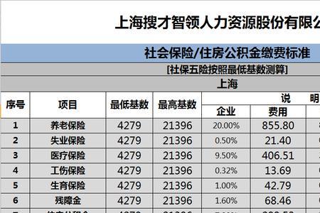 上海社保2011年前交的是什么