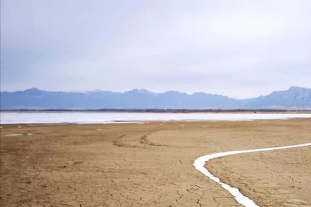 弯弯曲曲的路坎坎坷坷的走