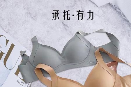 女士内衣高端品牌排行榜前十名