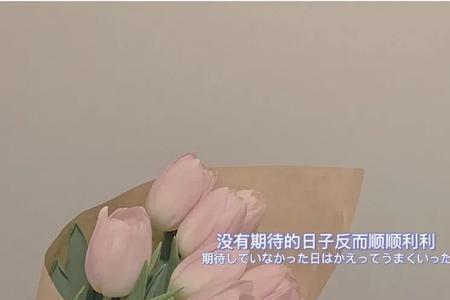 再无期待什么意思