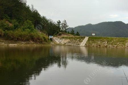 海沧古楼水库能钓鱼吗