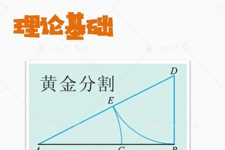 黄金分割线的base代表什么