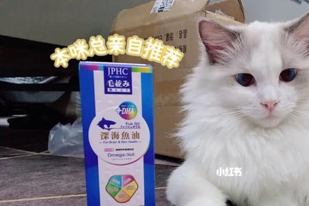 鱼肚子里的鱼油可以给猫吃吗