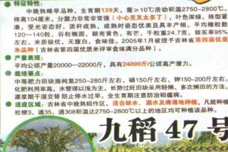 天龙粳325水稻品种介绍