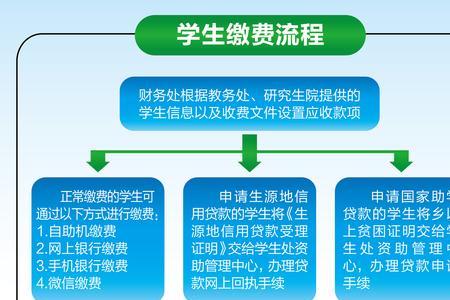 浙里办学生医保缴费流程