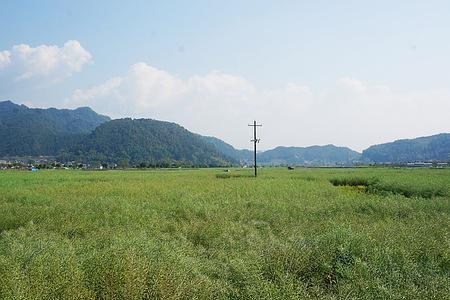 田野和山野的区别