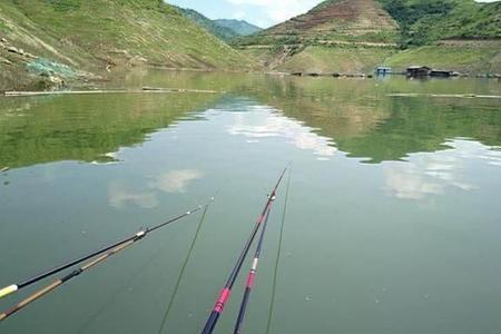 冬季山体水库钓鲤鱼最佳深度