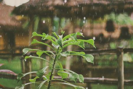 细雨潜入夜是什么诗