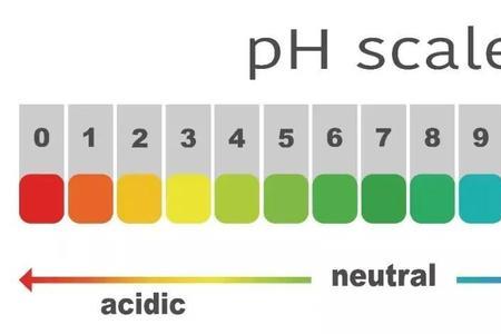 为什么碱性酸性男女不同