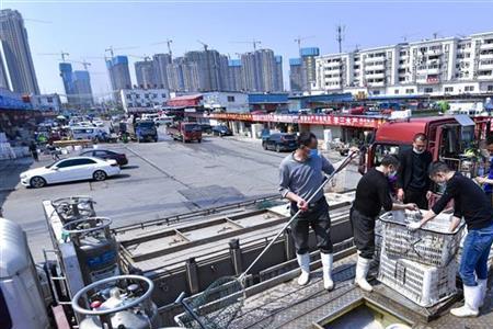 河西市场什么时候恢复营业