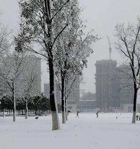 下雪下的雪粒叫什么