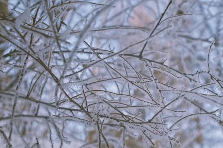 积雪摧残什么意思