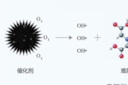 加氧氧化和去氢氧化的区别