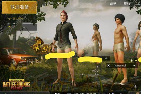 pubg实验服进不去