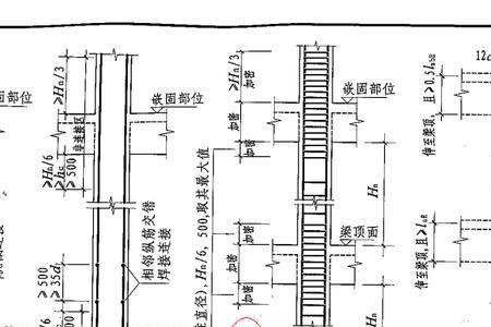 5米的柱子下部加密多高