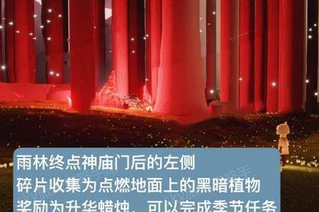 光遇雨林终点彩蛋密室怎么进