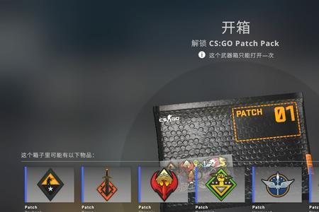 csgo探员语音现在可以购买吗