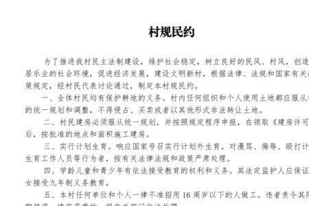 村规民约在什么情况下大于法律