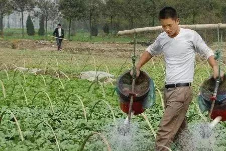 怎样降低肥料水分