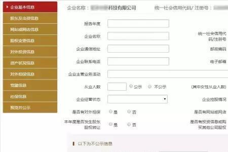 企业年报多久可以显示