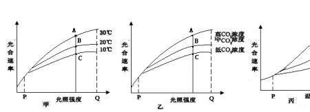 重庆光照强度