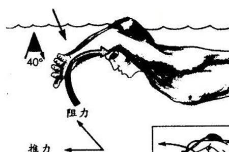 蝶泳出水前扑的正确姿势
