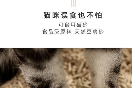 吉娃娃可以用猫砂吗