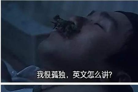 什么时候觉得孤独搞笑回复