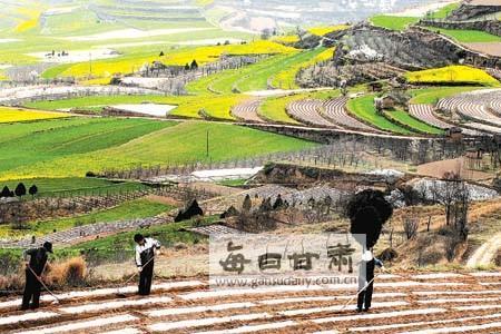 形容农妇田地间跳舞的词语